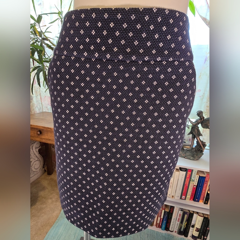 Ann Taylor Mini Skirt